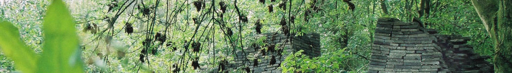 An Image Slideshow
