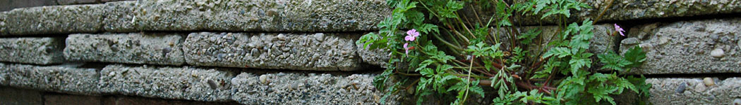 An Image Slideshow
