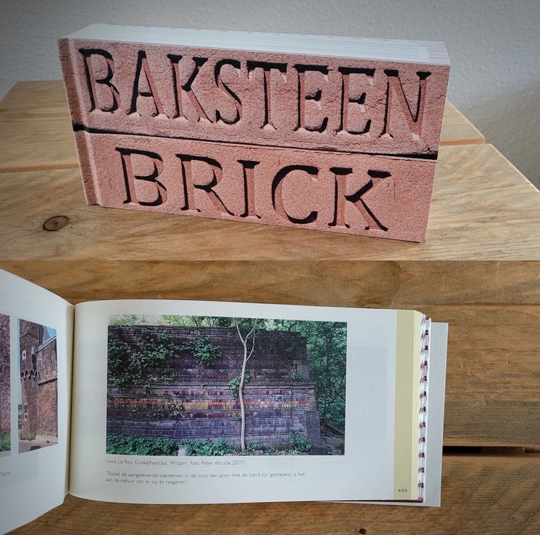 bricks catalogus