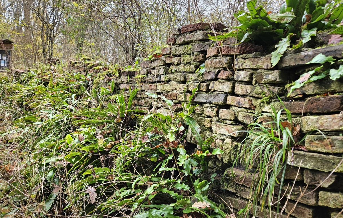 le roy muurtje amstelpark floriade 1972 amsterdam varens