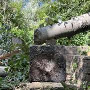 De dinsdagen van Marcel Prins De dinsdagen van Marcel Prins