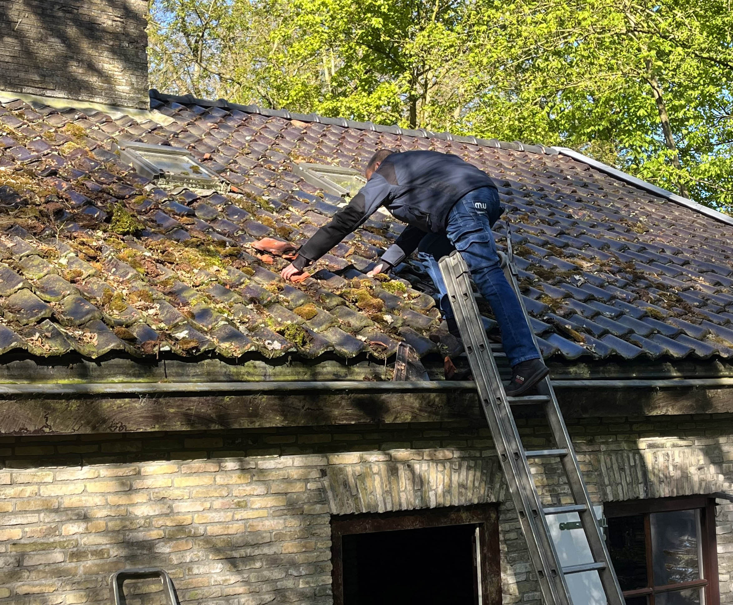 Meindert de Jong van Monumentenwacht Fryslân inspecteert het atelier in de ecokathedraal in Mildam. (foto: Marcel Prins)