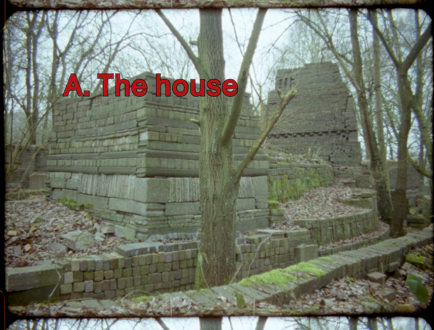 still rebel bocage film ecokathedraal winny herbstein kunsthuis syb