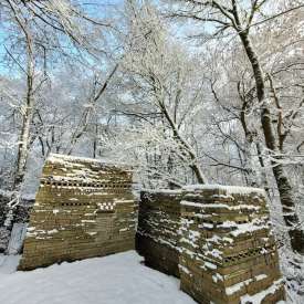 Ecokathedralen onder sneeuwdeken