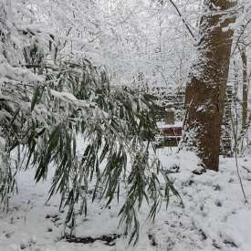 Ecokathedralen onder sneeuwdeken