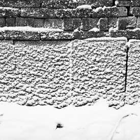 Ecokathedralen onder sneeuwdeken