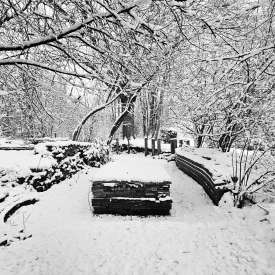 Ecokathedralen onder sneeuwdeken