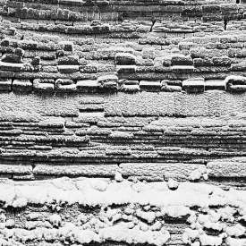 Ecokathedralen onder sneeuwdeken