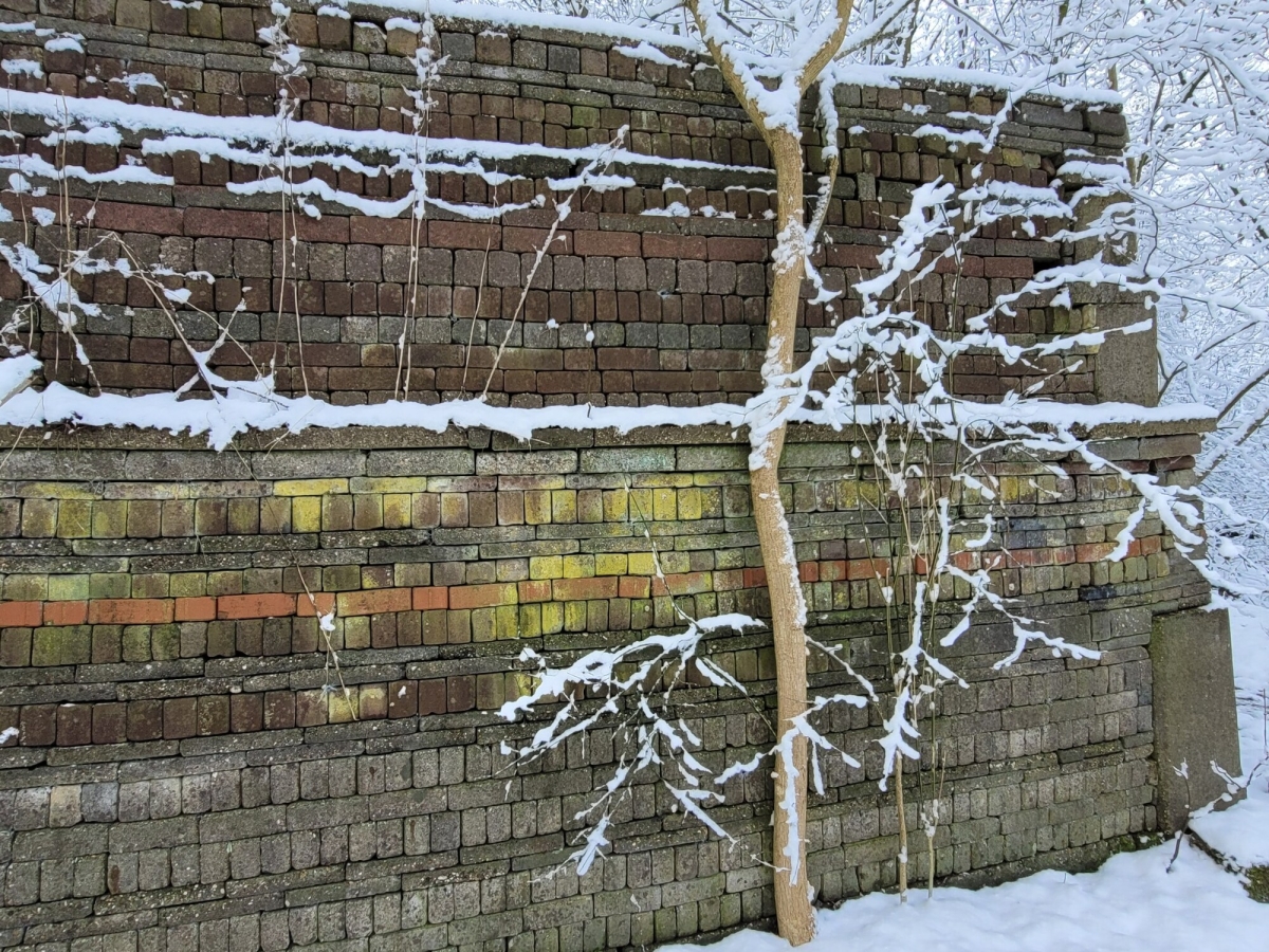 Besneeuwd bouwwerk in de ecokathedraal in Mildam (Foto: Karin Staal)